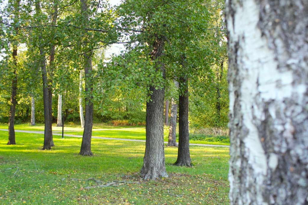 Adapting to Life in Finland as a Latin American 